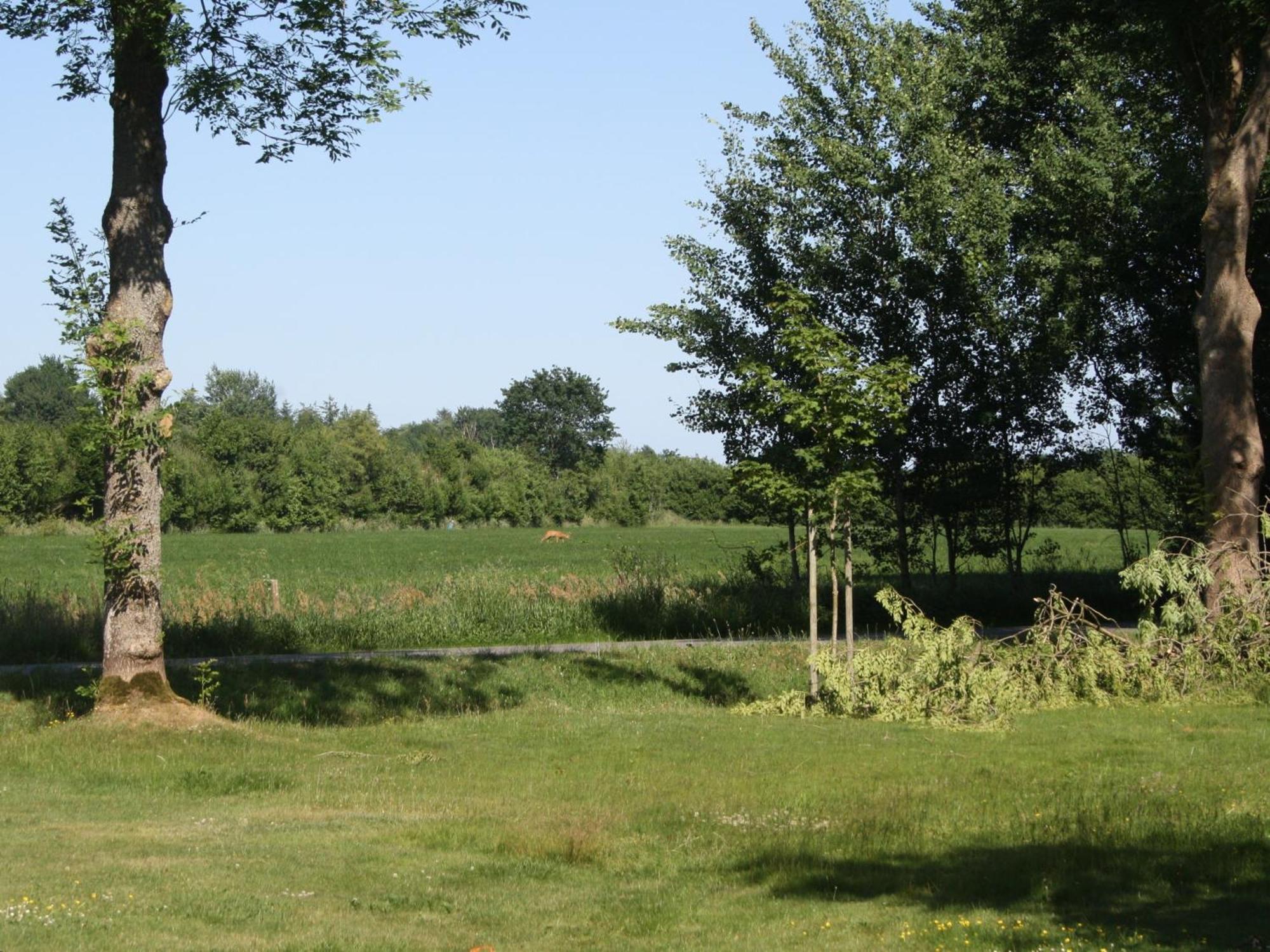 Detjens - Fewo In Ruhiger Lage Mit Terrasse Und Garten Ellingstedt Buitenkant foto